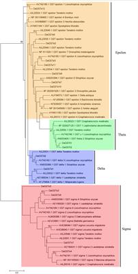 Isolation, Expression Profiling, and Regulation via Host Allelochemicals of 16 Glutathione S-Transferases in the Chinese White Pine Beetle, Dendroctonus armandi